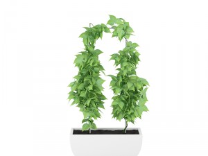 plants 12 3D Model