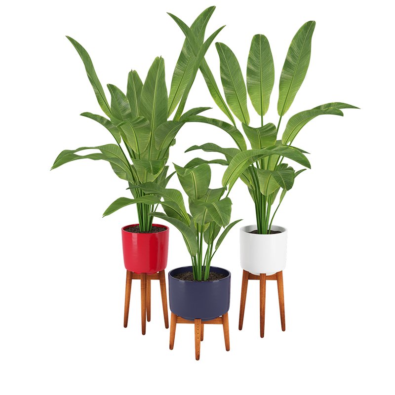 Растение пластиковое барбус 20см mix plant079/20 stok020. Эвкалипт монетчатый. Кизил ползучий. 13 растения. Растение barbus stock 021.