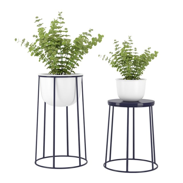 plants 14 3D 模型 .c4d .max .obj .3ds .fbx .stl .blend 
