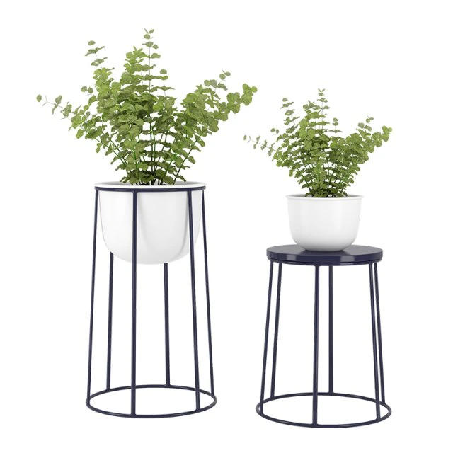 plants 14 3D Model .c4d .max .obj .3ds .fbx .stl .blend 
