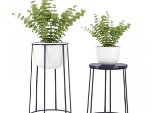 plantes 14 Modèle 3D