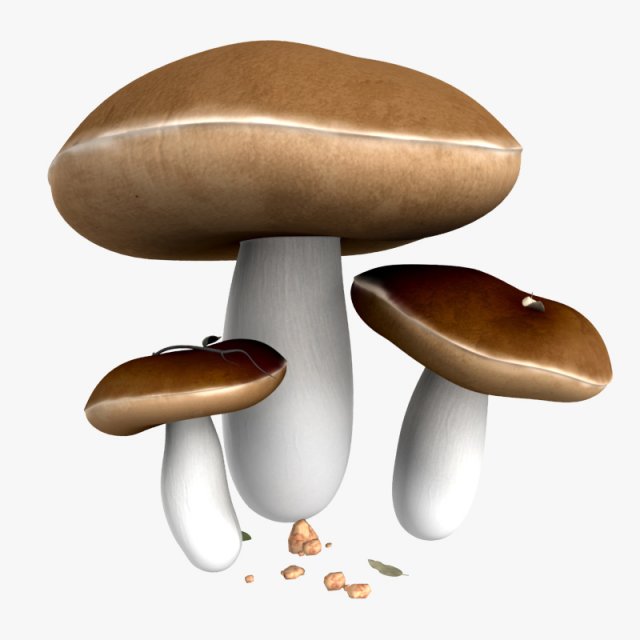 mushrooms 3D-Modell .c4d .max .obj .3ds .fbx .stl .blend 