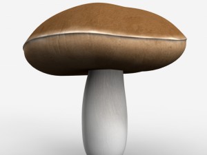 mushrooms 3D-Modell