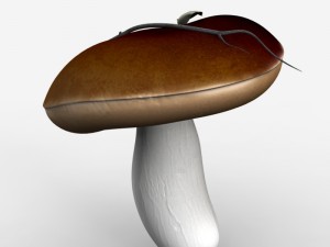mushrooms 3D-Modell