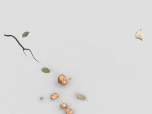 mushrooms 3D-Modell