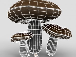 mushrooms 3D-Modell