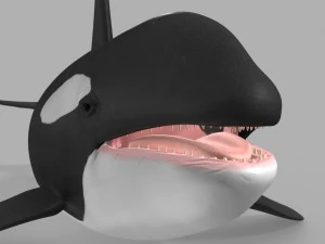 whale killer 3D Model