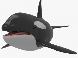 whale killer 3D Model