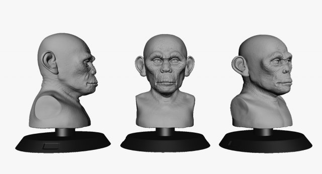 head monkey Modelo 3D .c4d .max .obj .3ds .fbx .stl .blend 