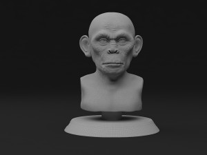 head monkey Modelo 3D