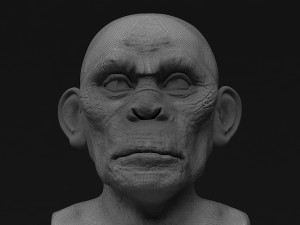 head monkey Modelo 3D