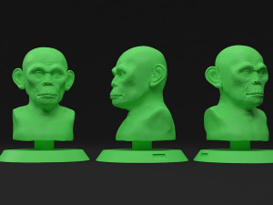 head monkey Modelo 3D