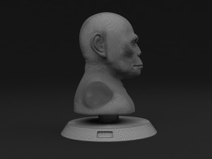 head monkey Modelo 3D