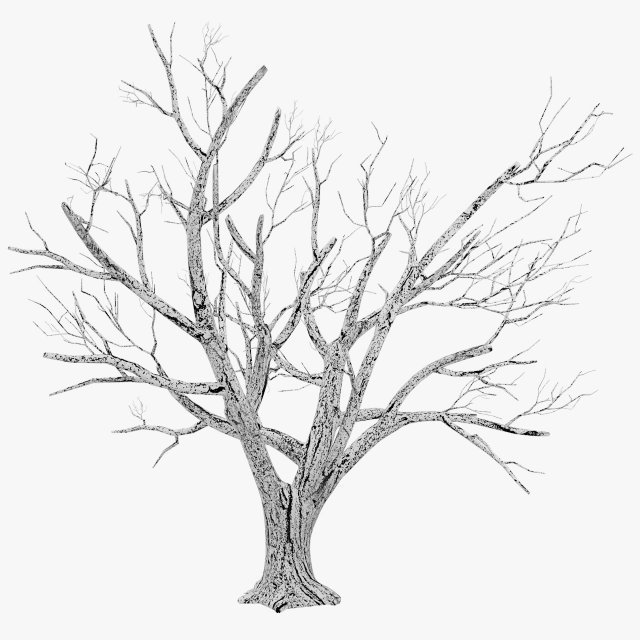 tree winter 3D Модель .c4d .max .obj .3ds .fbx .stl .blend 