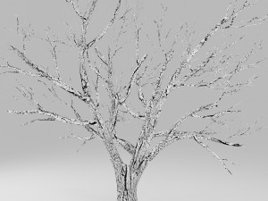 tree winter 3D Модель