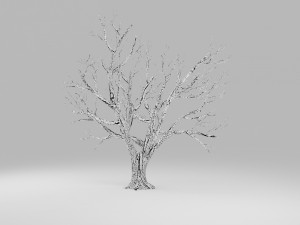 tree winter 3D Модель