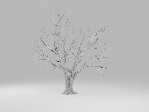 boom winter 3D Model