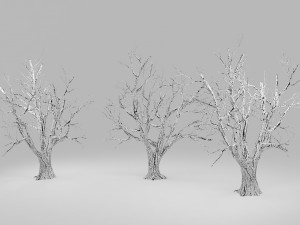tree winter 3D Модель