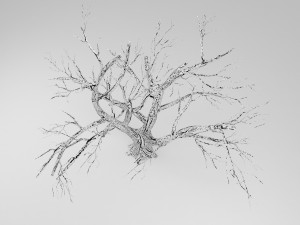 tree winter 3D Модель