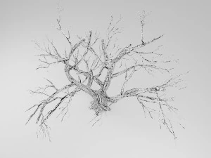 boom winter 3D Model