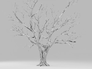 tree winter 3D Модель