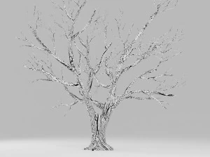 boom winter 3D Model
