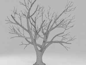 tree winter 3D Модель