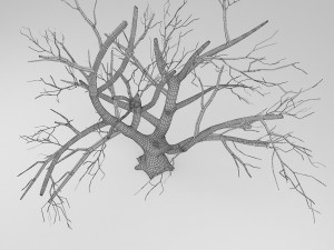 tree winter 3D Модель