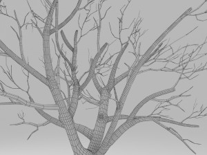 tree winter 3D Модель