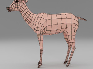 deer base mesh 3D Model
