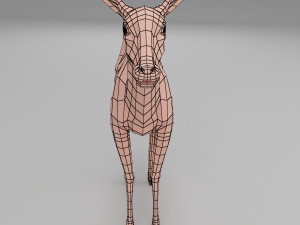 deer base mesh 3D Model