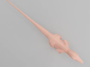 maglia base di dinosauri Modello 3D