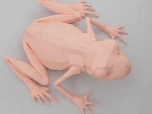 개구리 베이스 메쉬 3D 모델