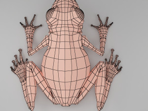 frog base mesh 3D मॉडल