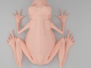 개구리 베이스 메쉬 3D 모델