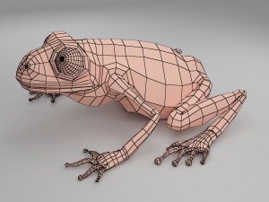 frog base mesh 3D मॉडल