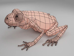 개구리 베이스 메쉬 3D 모델