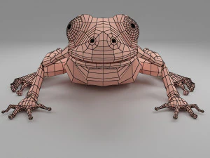 개구리 베이스 메쉬 3D 모델