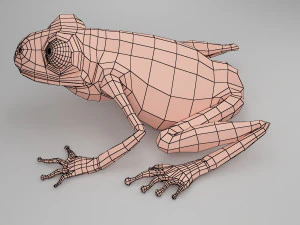 개구리 베이스 메쉬 3D 모델