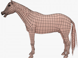 horse base mesh 3D Model