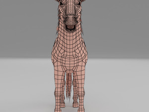 horse base mesh 3D Model