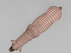 horse base mesh 3D Model