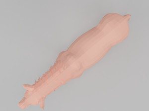 horse base mesh 3D Model