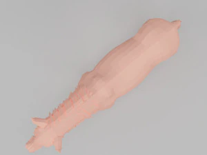 horse base mesh 3D Model