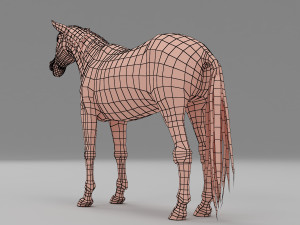 horse base mesh 3D Model