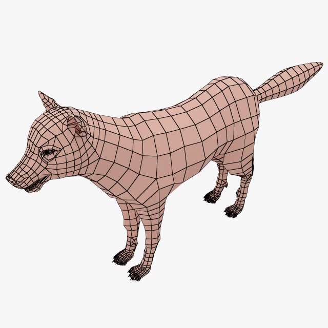 wolf base mesh 3D-Modell .c4d .max .obj .3ds .fbx .stl .blend 