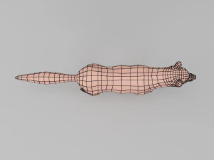 kurt taban ağı 3D Model