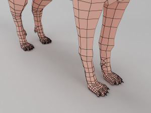 wolf base mesh 3D-Modell