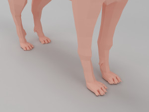 wolf base mesh 3D-Modell