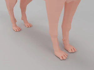 kurt taban ağı 3D Model